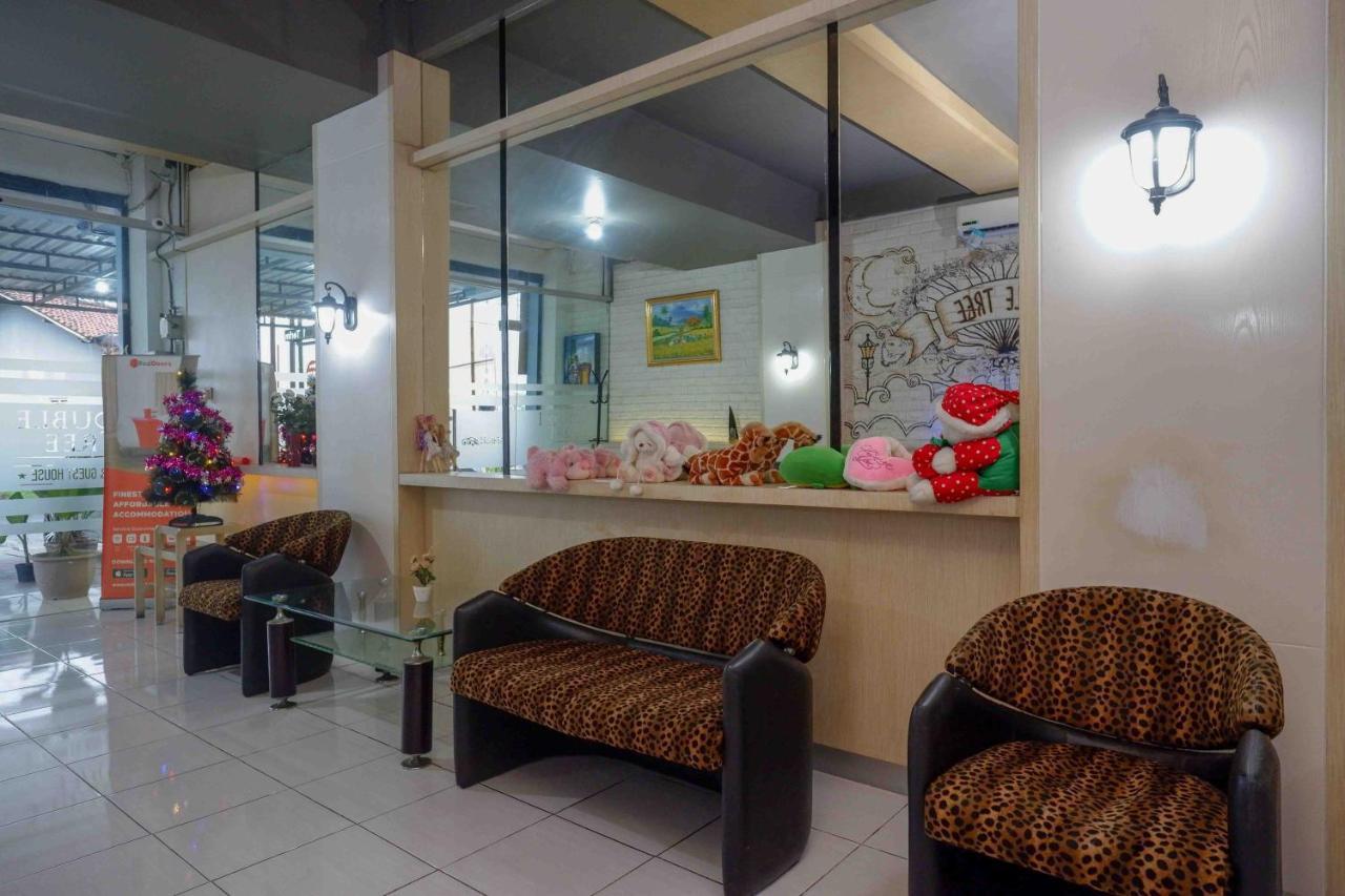 Oyo 3746 Double Tree Guesthouse بوروكيرتو المظهر الخارجي الصورة